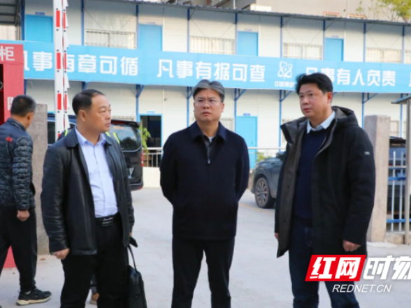 新田：陈雄调研重点项目建设工作