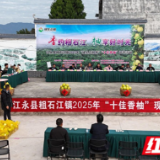 江永县粗石江镇举行“十佳香柚”评选活动