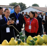 江永:庆香柚丰收节 促农文旅发展