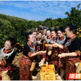道县:“体育+文化”助农出新招 民族歌舞点亮脐橙销售路