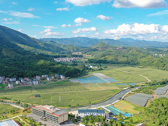 十年帮扶铸丰碑 央企同心助振兴——中国光大集团定点帮扶新田县纪实