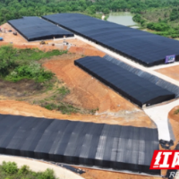 永州：石蛙养殖绘就乡村振兴画卷