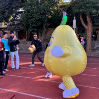 江永：蒋剑平调研湘超永州主场表演节目筹备