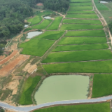 祁阳:高标准描绘农田新景象 机械化奏响稻香最强音