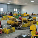 湖南江永:打破年龄限制!“暖心社保”为超龄务工人员撑起“保护伞”