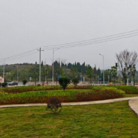 新田县中山街道:用“绣花”功夫“绣”出城乡融合发展新画卷