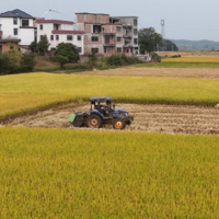 道县:秸秆综合利用 田间“废料”变市场“肥料”