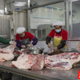 道县：智慧赋能+三方共治 守护学生“舌尖安全”