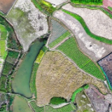 湖南新田：大地“指纹”美如画（组图）