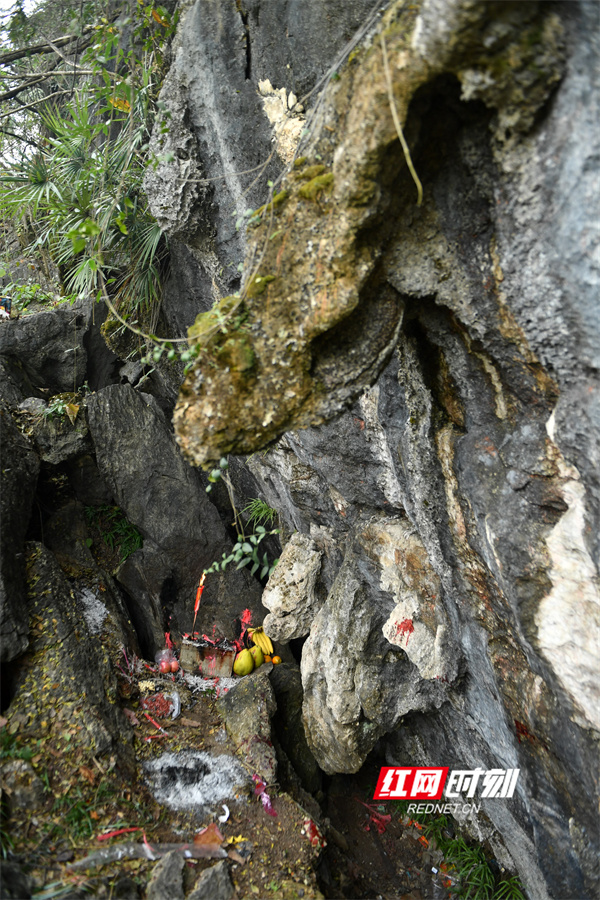 老鼠山的岩洞口,村民天没亮就上山祭拜老鼠.jpg 老鼠山的岩洞口,村民天没亮就上山祭拜老鼠.jpg