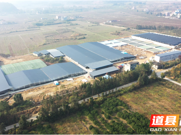 道县：鳗鱼“游”出致富路