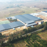 道县:鳗鱼“游”出致富路