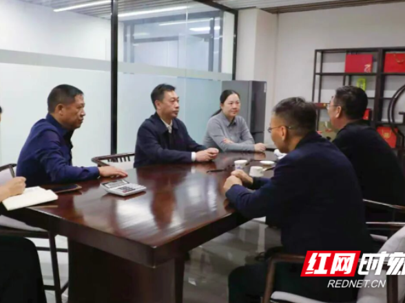 湖南新田：黄永英调研重点项目工作