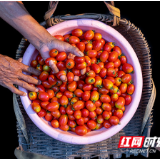 光影潇湘——潘华摄影里的永州诗行⑩