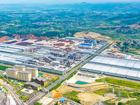 实干笃行开新局——新田县2025年经济社会发展综述