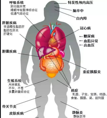图片13.png
