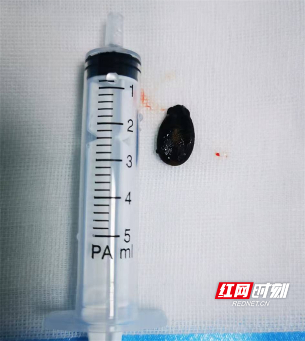 图片11.jpg