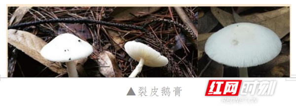 微信截图_20250324191525.jpg