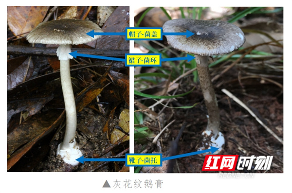 微信截图_20250324191453.jpg