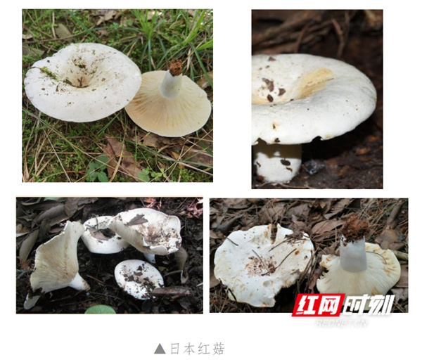 微信截图_20250324191437.jpg