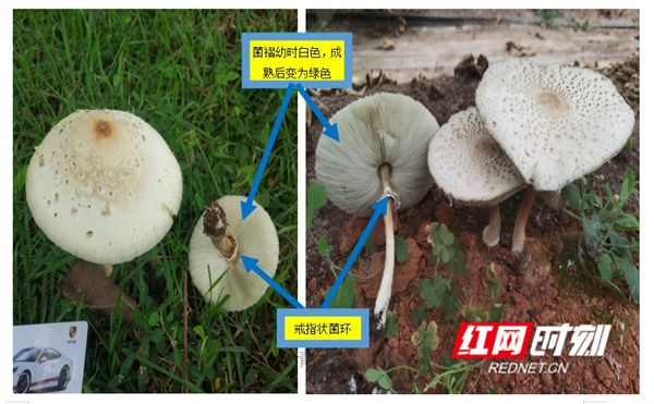 微信截图_20250324191415.jpg