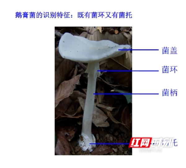 微信截图_20250324191532.jpg