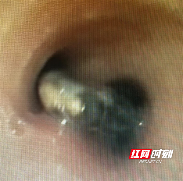 图片10.jpg