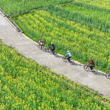 湖南道县：油菜花开醉游人