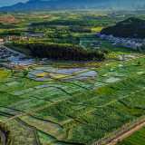 湖南道县：春暖花开 游客自来