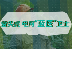 争做“电网铁人”点亮万家灯火——记国网湖南电力“最美国网人”雷尖虎