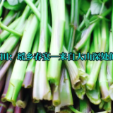 视频丨湖南新田：春天的味道——瑶山春宴