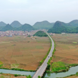 湖南新田：谷雨润烟田 指纹绘丰年（组图）