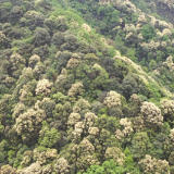 江永：“雪花”盖满都庞岭