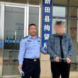 夏季执行风暴丨新田法院：跨越千里 虽远必执
