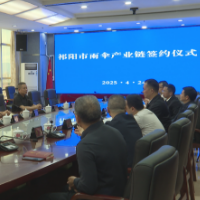 祁阳市举行雨伞产业链合作项目签约仪式