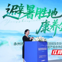 金洞招商引资小分队赴深圳推介文旅项目