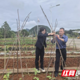 永州高速：“小菜园”种出大幸福