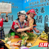 江永：做强电商人才链助推县域经济数字化转型