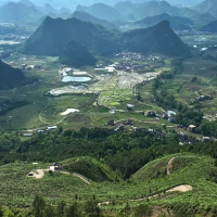 江华：这个五一 赴一场茶山之旅