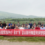 永州：科技赋能“小辣椒”变身“大产业”