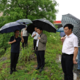 永州丨蒋强先率队到冷水滩区开展“法治护绿人大行”执法检查