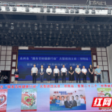 永州市“服务百姓健康行动”大型巡回义诊暨世界献血者日主题宣传活动在祁阳举行