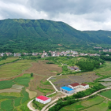 湖南新田：夏至已至 万物繁茂（组图）