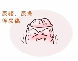 1230.png