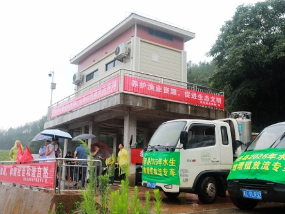湖南新田：因地制宜“精准放流” 构建“鸢飞鱼跃”景象