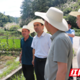 永州市交通运输局赴冷水滩区杨村甸乡沙子坳村调研