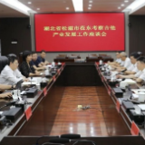 湖北省松滋市代表团到东安考察交流吉他产业发展