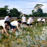 湖南科技学院：田间“思政教育”解锁劳动育人新场景