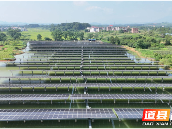 道县：光伏板“水上漂” 夏日发电养鱼两不误