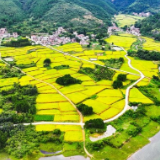 湖南新田：山村“丰”景如画（组图）